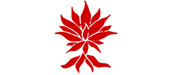 Singleton CofE Primary School